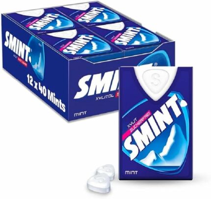 SMINT MENTA SIN AZUCAR 8GR 12 UNIDADES