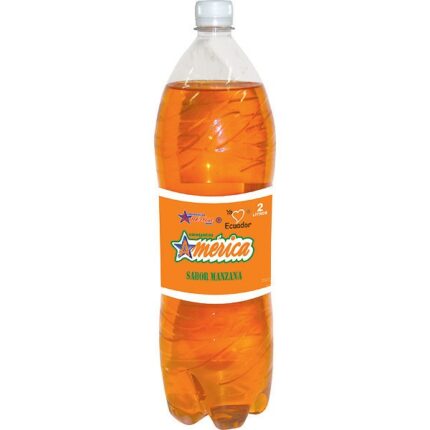 PACK 6 UNIDADES AMERICA MANZANA 2L